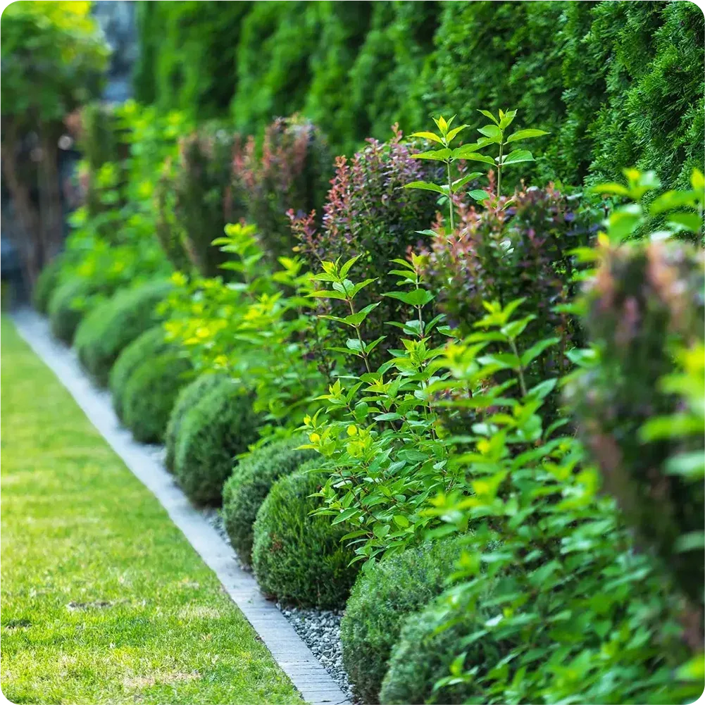 lush gardens