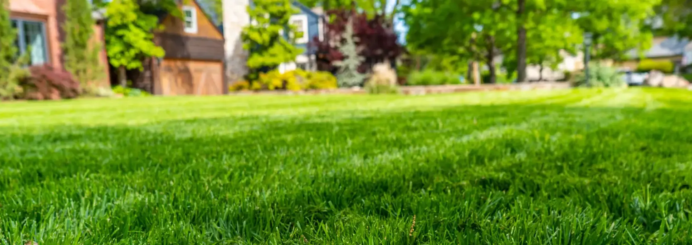 weed-control