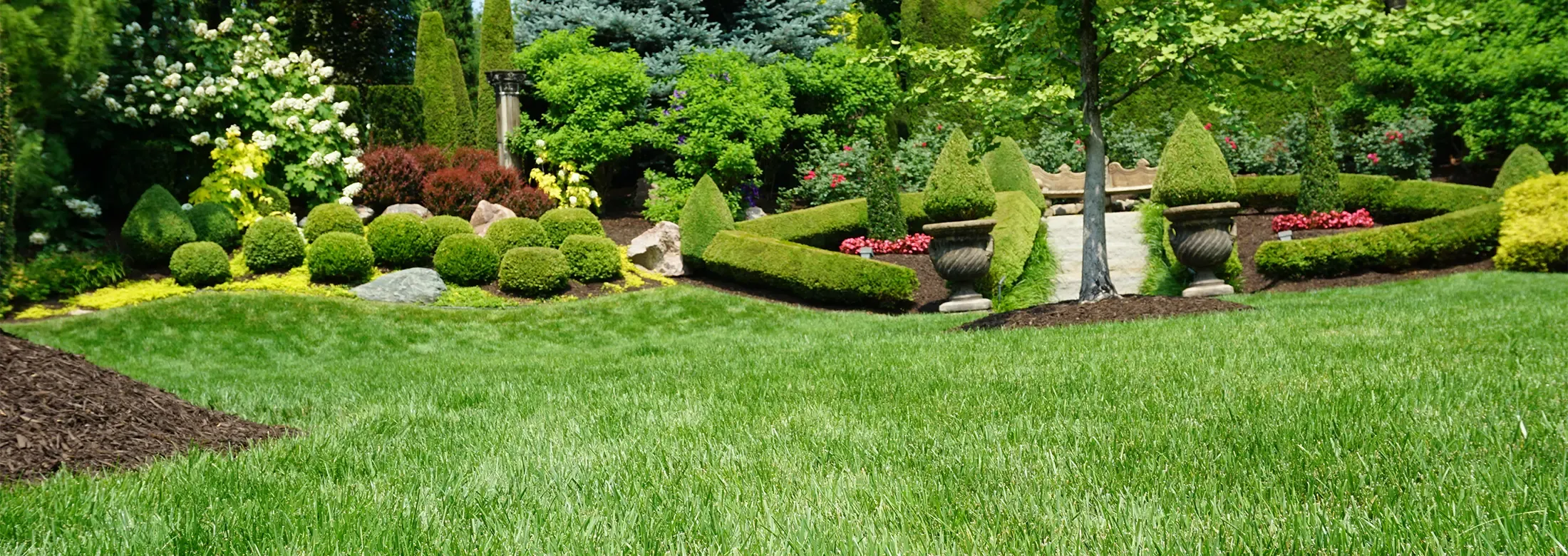 grass background