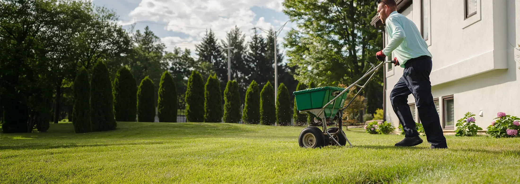 DreamLawn technician applying fertilizer treatment to a lush residential lawn in Kansas City