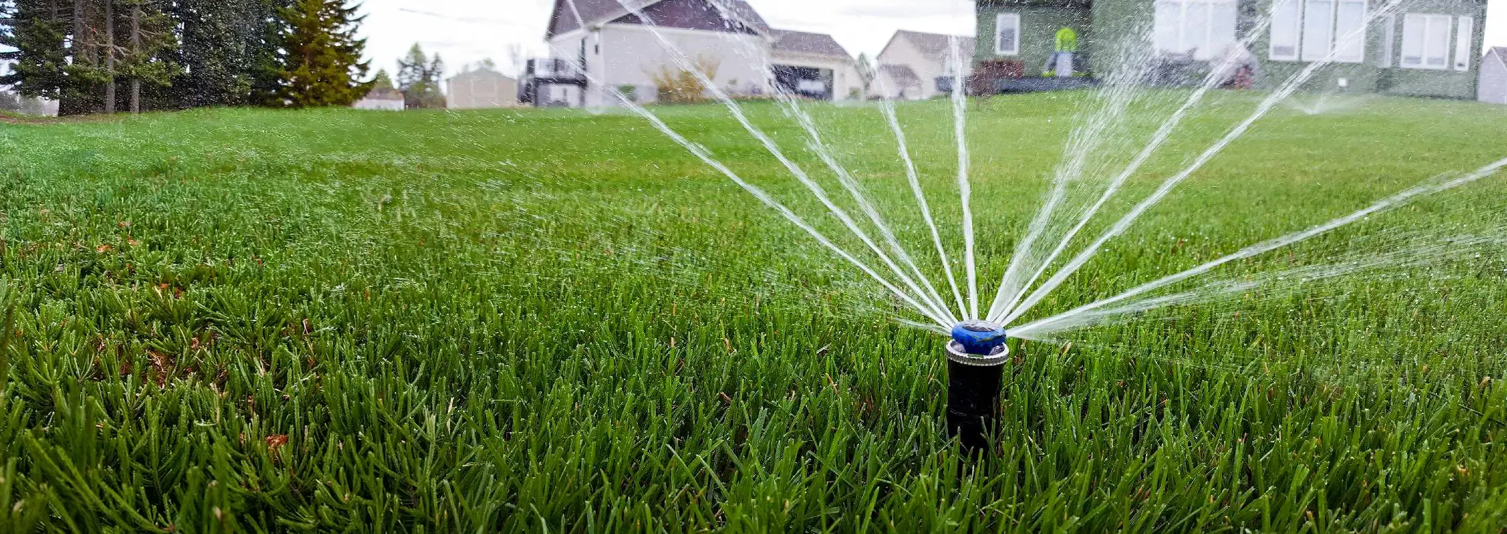 sprinkler irrigation watering lawn