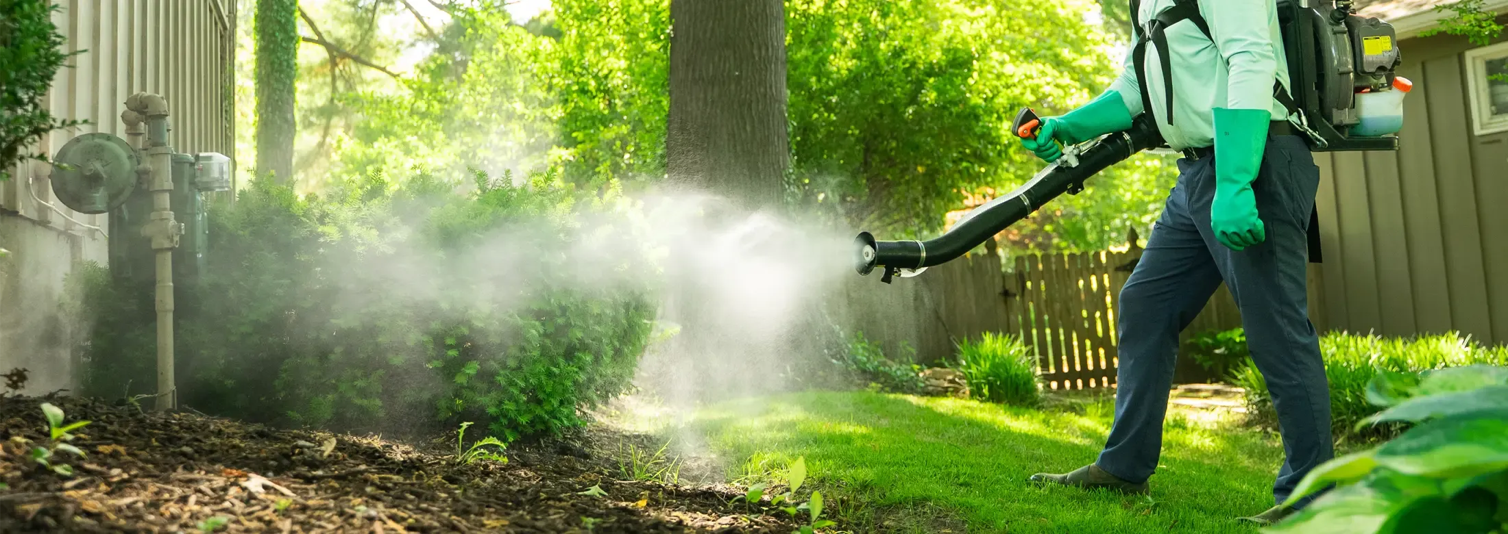 technician misting backyard for mosquitoes