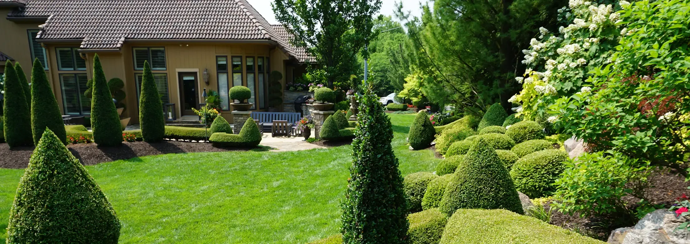 healthy well maintained shrubs in a back yard