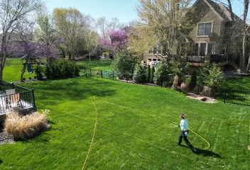 weed-control-lawn-treatment