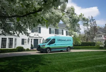 lawn-care-yard-treatment