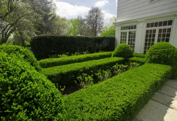 healthy-lawn-treatment