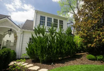 healthy-green-lawn