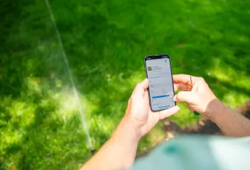 backyard-lawn-care-treatment