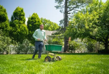 lawn-care-treating-backyard