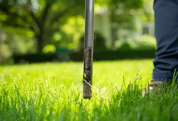 lawn-health-treatment