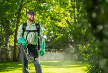 lawn-spray-treatment-service