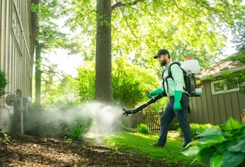 lawn-care-for-thick-grass
