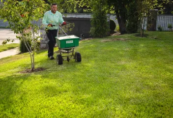 lawn-care-weed-and-feed