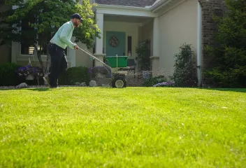lawn-treatment-for-green-grass