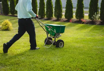 lawn-care-green-yard