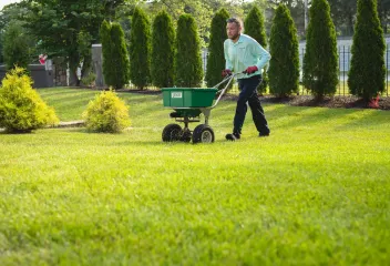 professional-lawn-care-results