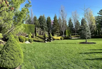lawn-care-weed-and-feed