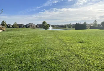 lawn-treatment-application