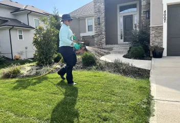 lawn-care-weed-treatment