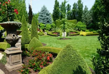 professional-turf-care-service