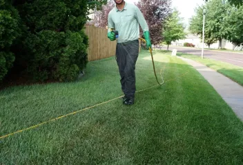 front-yard-lawn-treatment