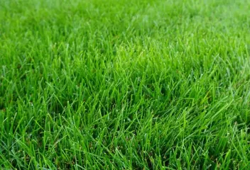 technician-treating-residential-lawn