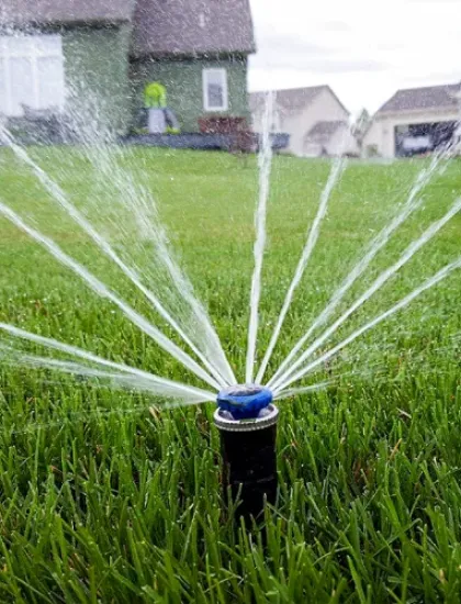 Lawn sprinkler system watering a green residential yard — DreamLawn irrigation services