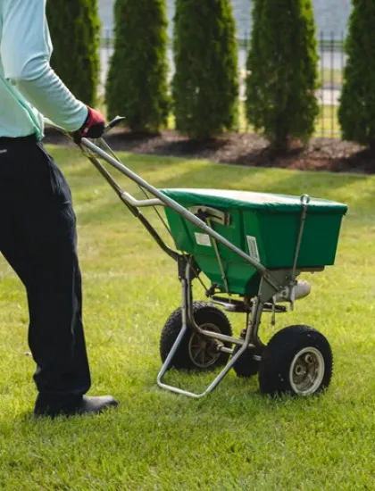 DreamLawn aeration and overseeding service spreading certified seed on a residential lawn